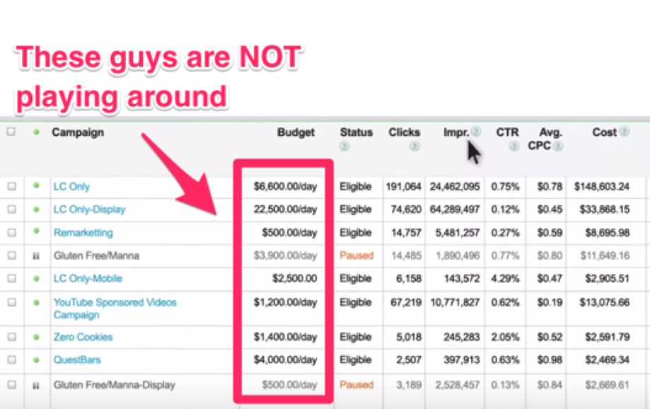 Google ads campaign showing the budget and other stats.